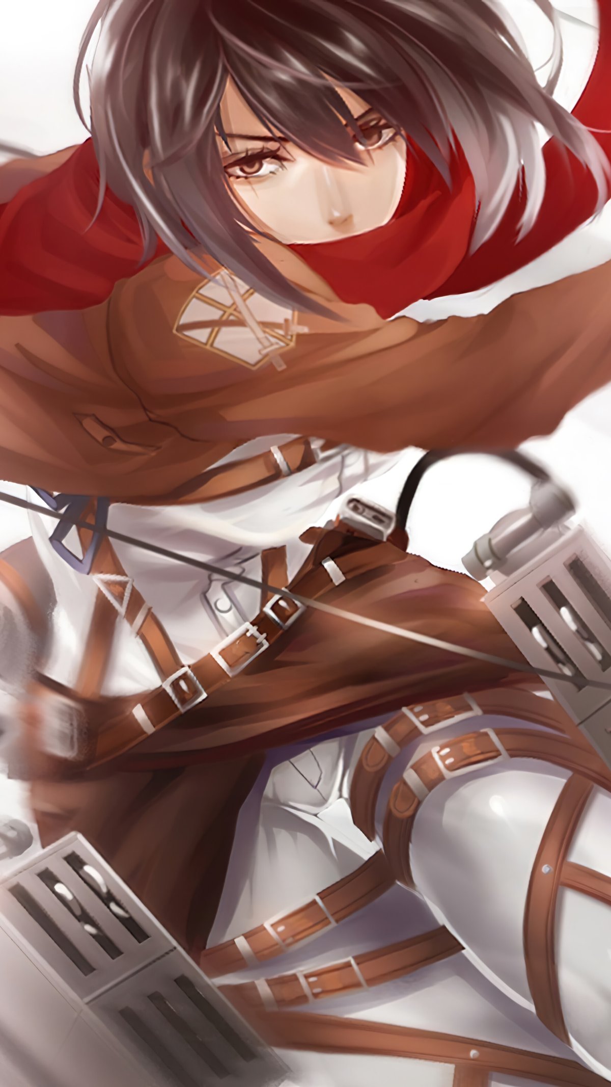 Mikasa Ackermans Non-Existence in Fullmetal Alchemist Brotherhood Explained